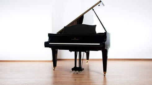 Produktbild C. Bechstein - B-203