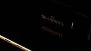 Produktbild Schimmel - 118t - Nr.4
