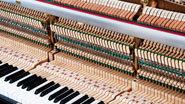 Produktbild Grotrian-Steinweg - 122 Classic - Nr.12